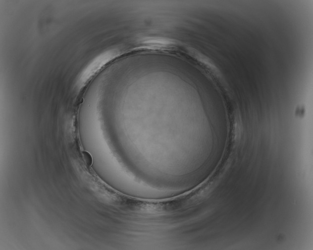 X0000116831362200912241218