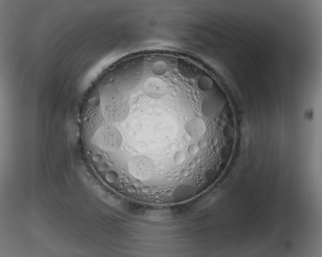 X0000116831363200912241218