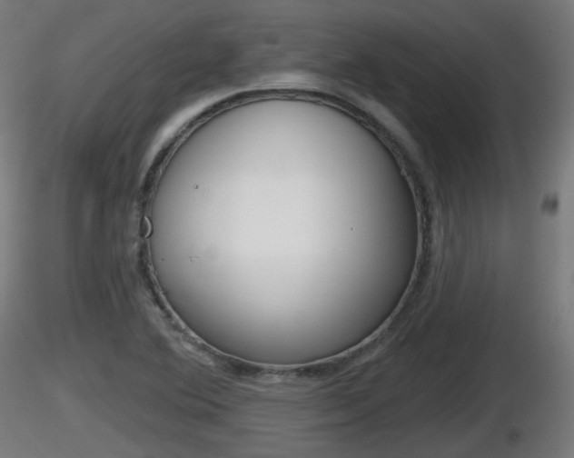 X0000116831364200912241218