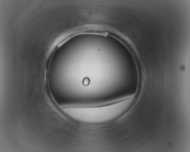 X0000116831365200912241218