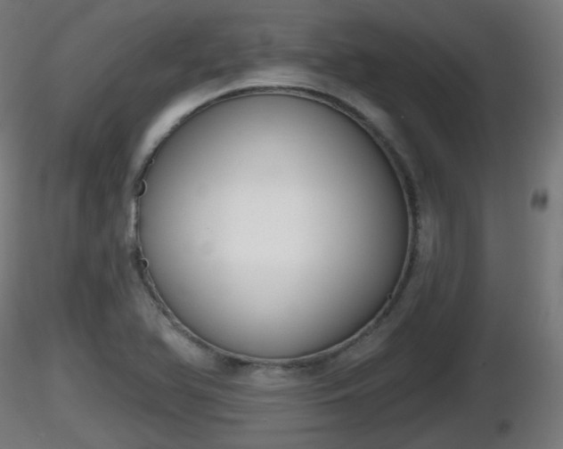 X0000116831366200912241218