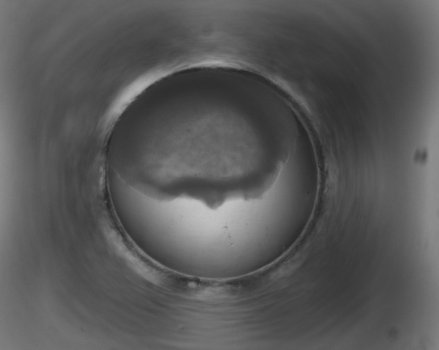 X0000116831367200912241218