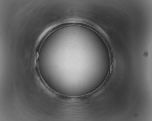 X0000116831368200912241218