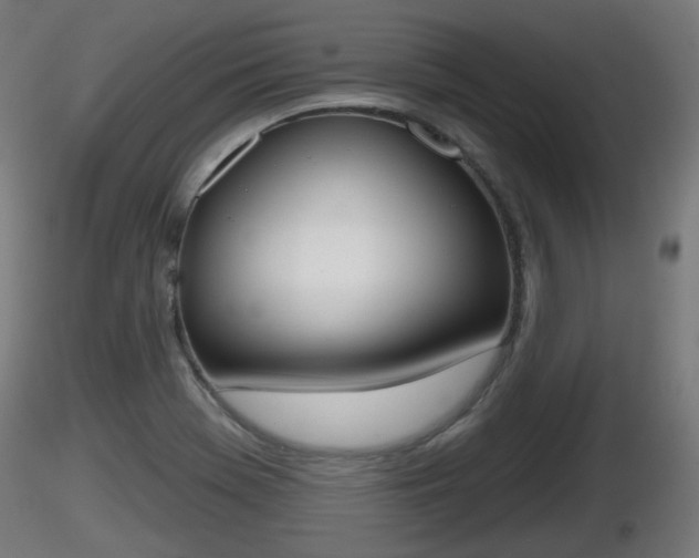 X0000116831369200912241218