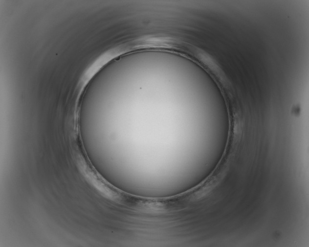 X0000116831370200912241218