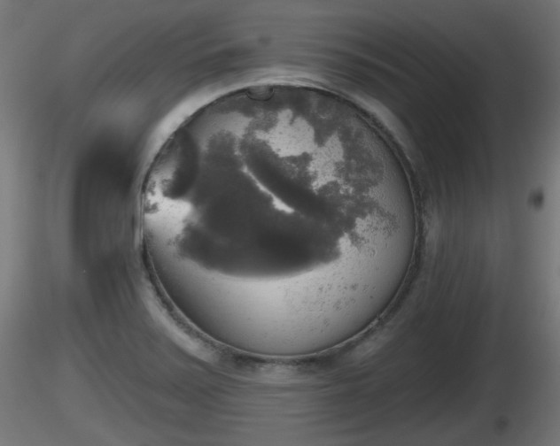 X0000116831371200912241218