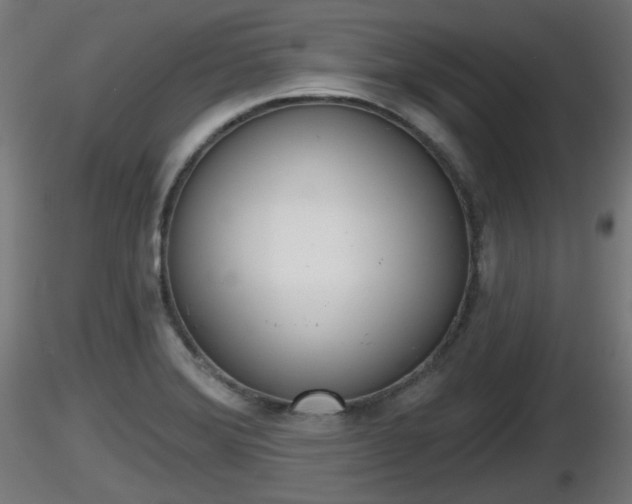 X0000116831372200912241218