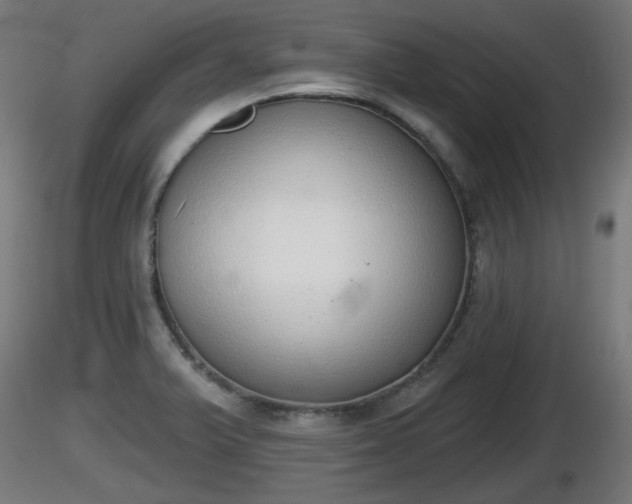 X0000116831375200912241218