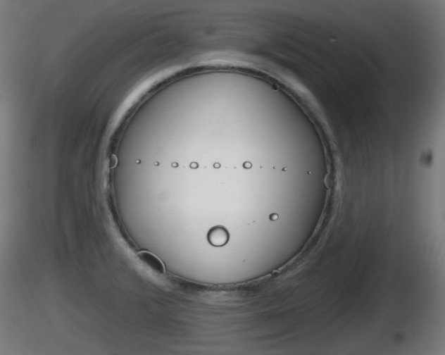 X0000116831376200912241218