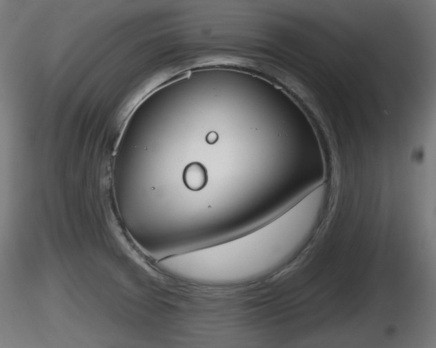 X0000116831377200912241218