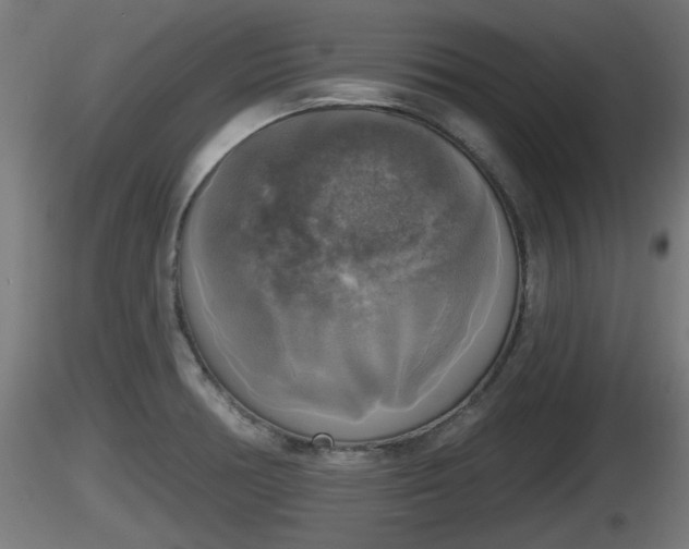 X0000116831378200912241218