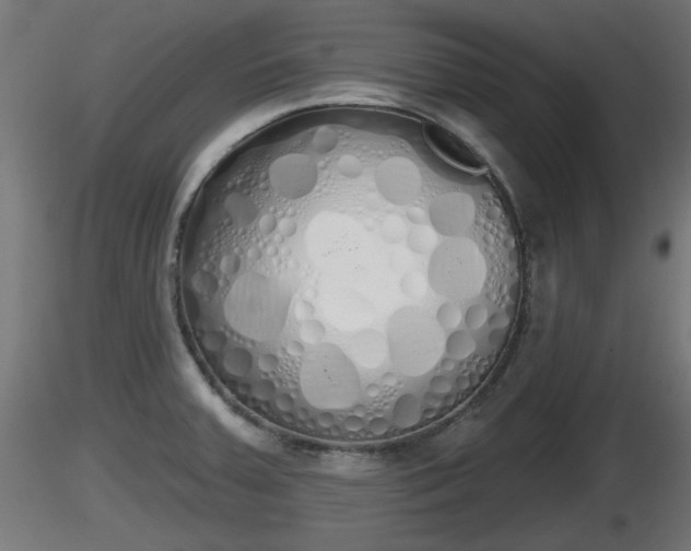 X0000116831379200912241217