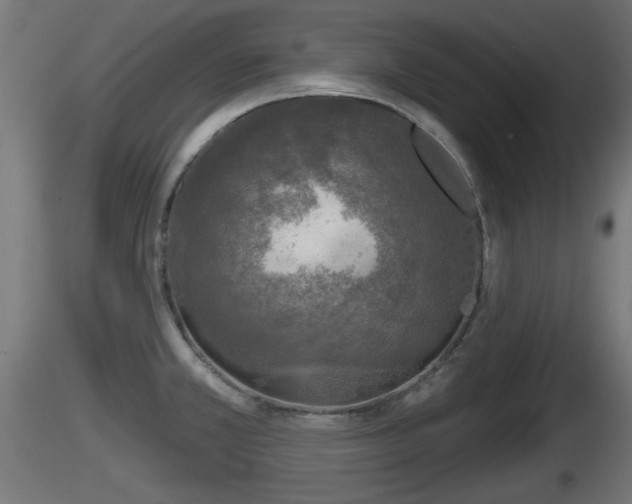 X0000116831381200912241217