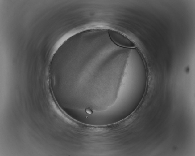 X0000116831382200912241217