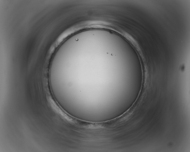 X0000116831384200912241217