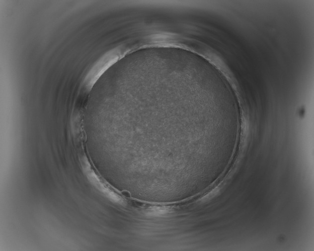 X0000116831385200912241217