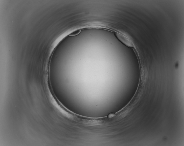 X0000116831387200912241217