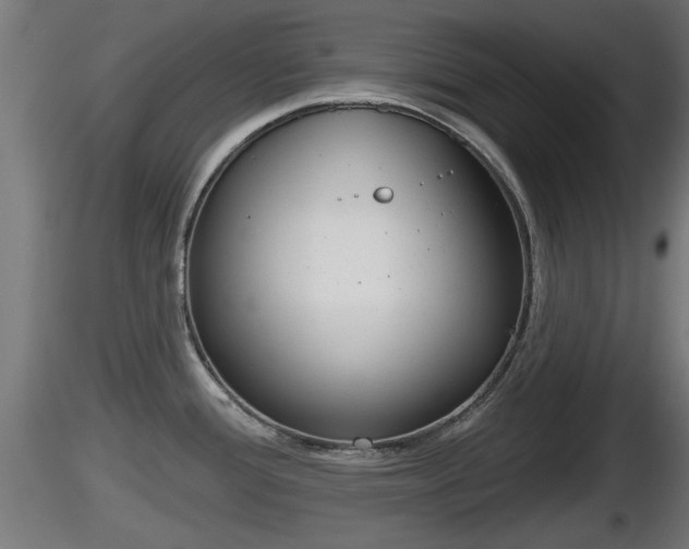 X0000116831388200912241217