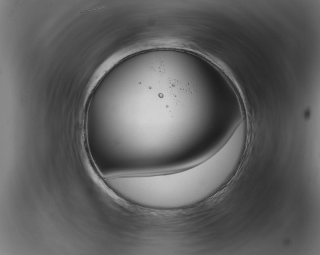 X0000116831389200912241217