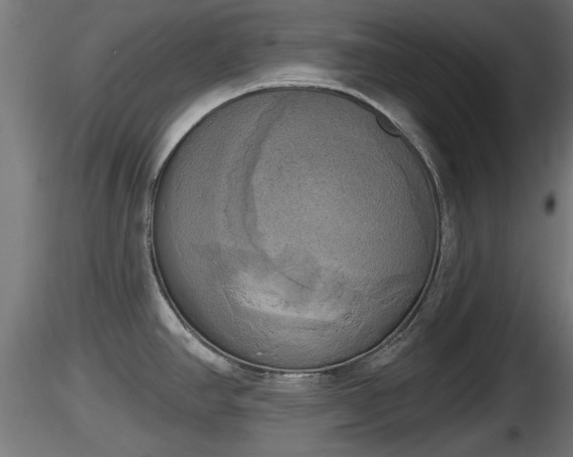 X0000116831390200912241217