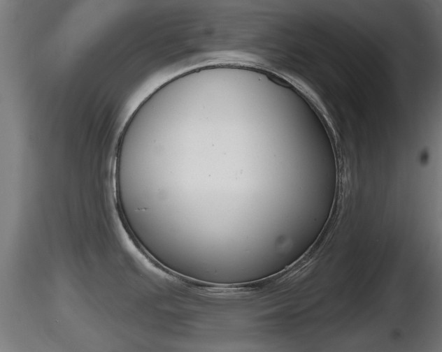 X0000116831391200912241217
