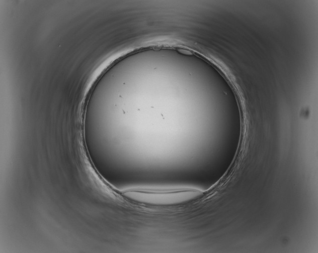 X0000116831392200912241217