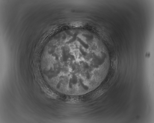 X0000116831393200912241217
