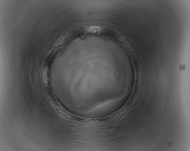 X0000116831394200912241217
