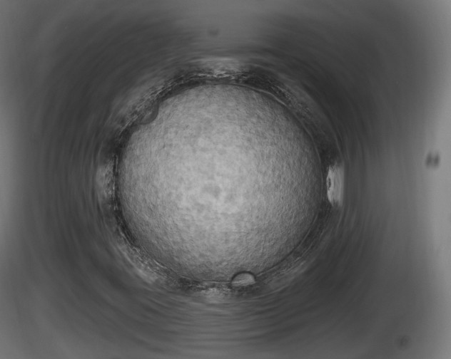 X0000116831395200912241217