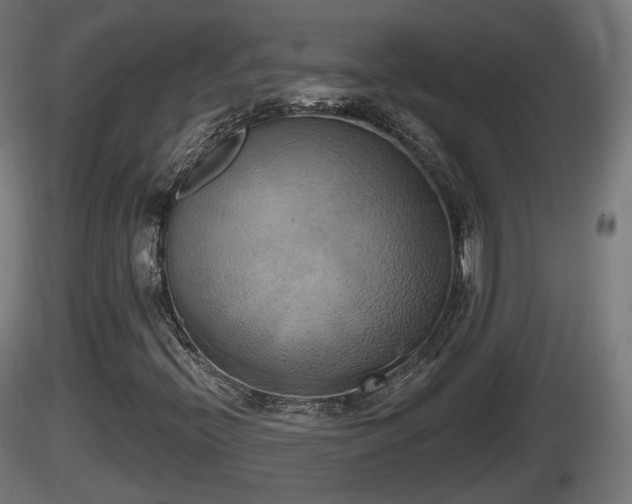 X0000116831396200912241217