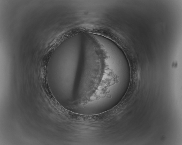 X0000116831397200912241217