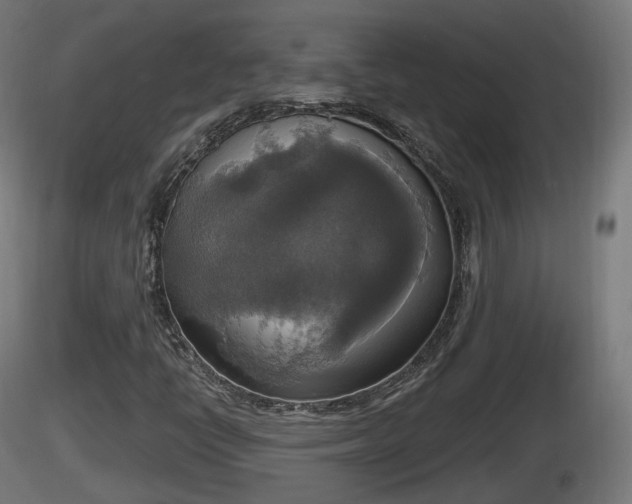 X0000116831398200912241217