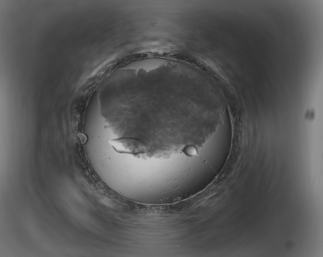 X0000116831399200912241217