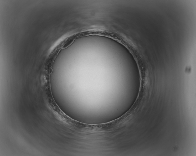 X0000116831400200912241217