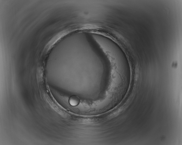 X0000116831401200912241217