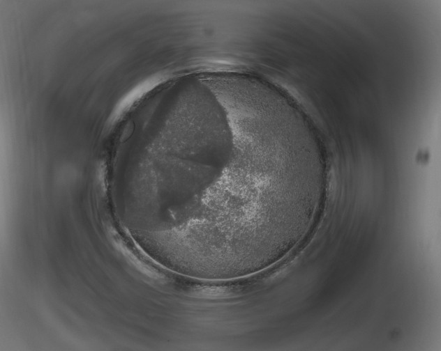 X0000116831402200912241217
