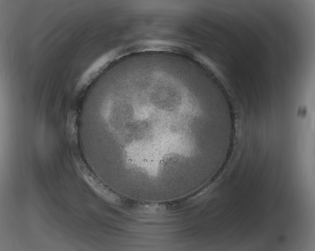 X0000116831403200912241217