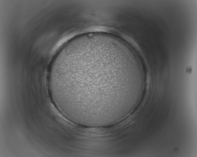 X0000116831404200912241217