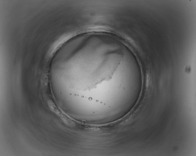 X0000116831405200912241217