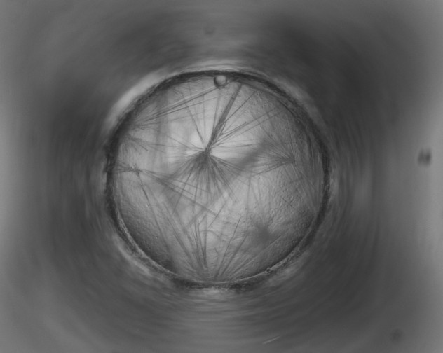 X0000116831406200912241217