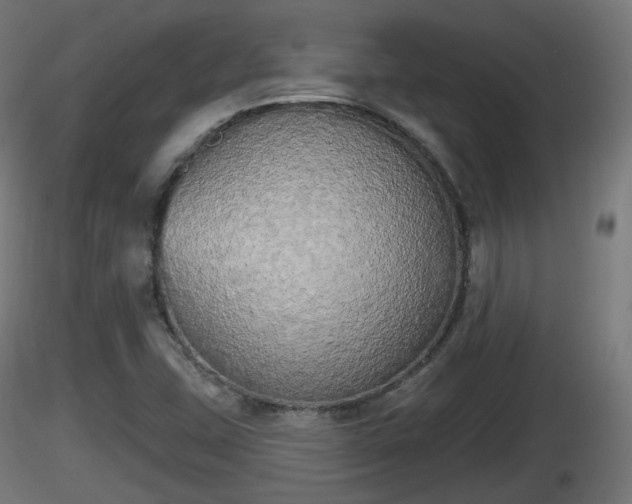 X0000116831407200912241217