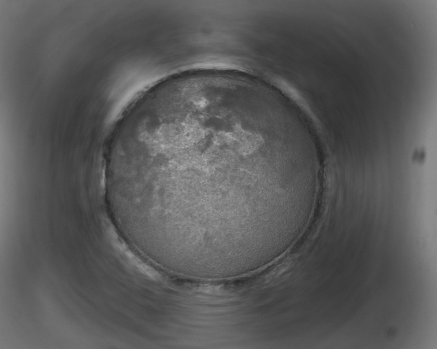 X0000116831408200912241217