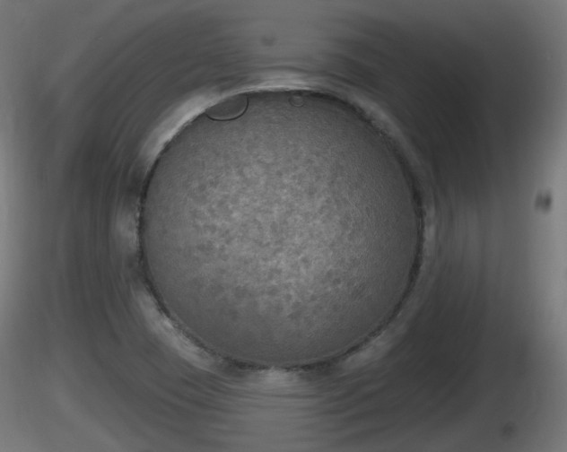 X0000116831409200912241217