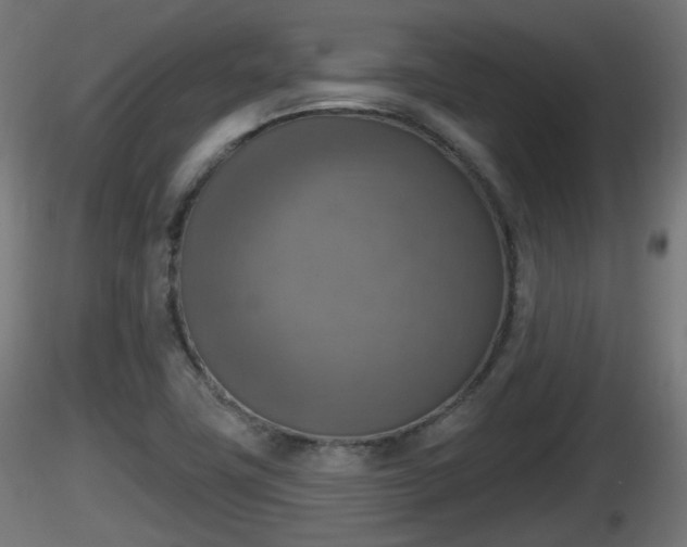X0000116831411200912241217