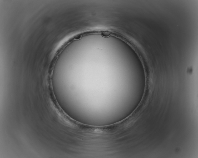X0000116831412200912241217