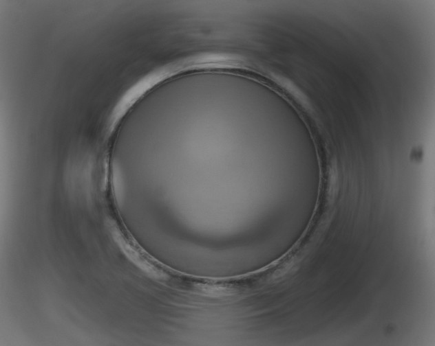 X0000116831413200912241217