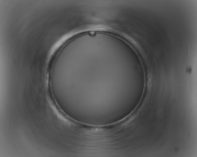 X0000116831414200912241217