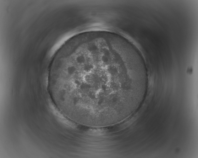 X0000116831415200912241217