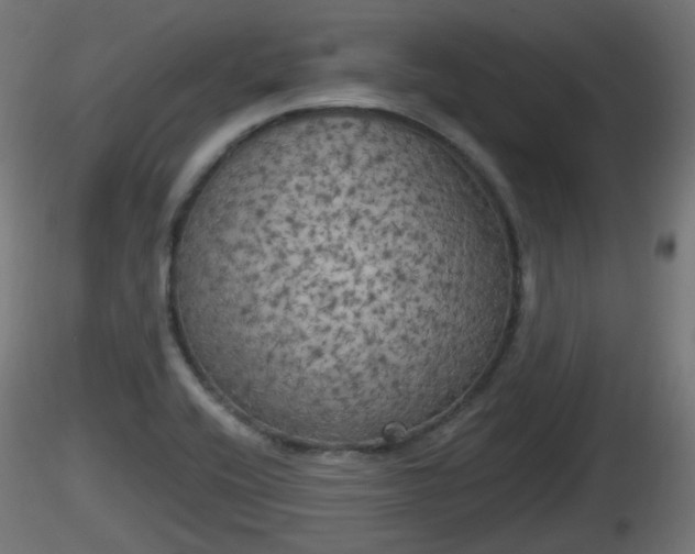 X0000116831416200912241217