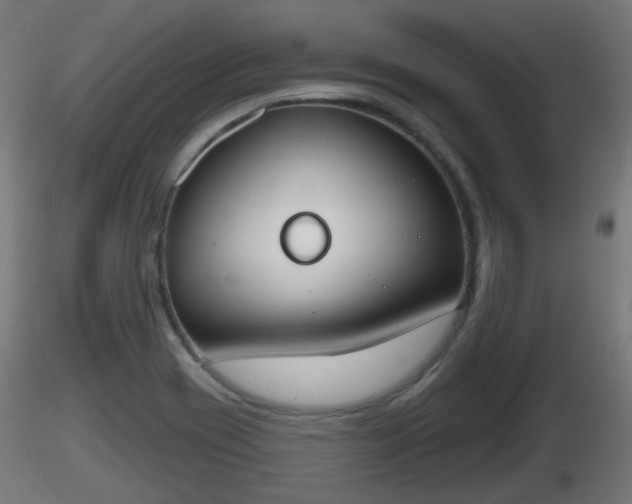 X0000116831417200912241217